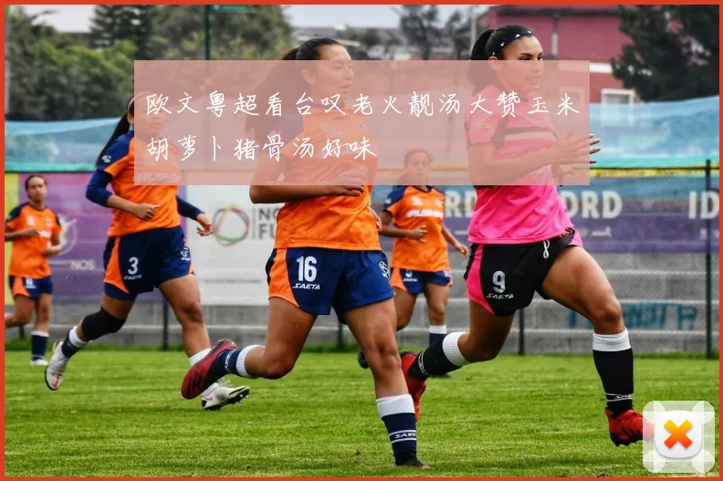 欧文粤超看台叹老火靓汤大赞玉米胡萝卜猪骨汤好味